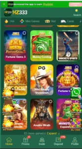 hz333 game download