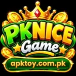 PKNICE Game